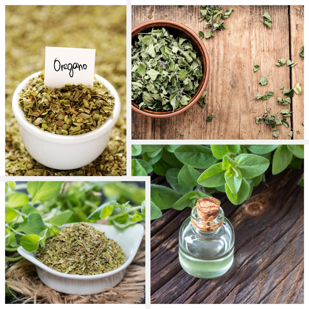 7 Ways Oregano Water is Beneficial for Dry Skin How Stature’s Products Use Oregano Water for Deep Hydration