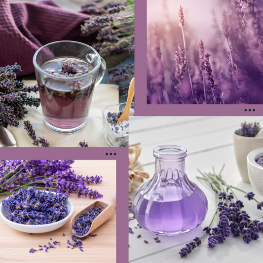 7 Ways Lavender Water is Good for Sensitive Skin